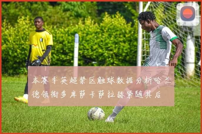 本赛季英超禁区触球数据分析哈兰德领衔多库萨卡萨拉赫紧随其后