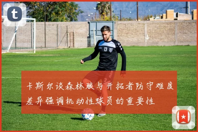 卡斯尔谈森林狼与开拓者防守难度差异强调机动性球员的重要性